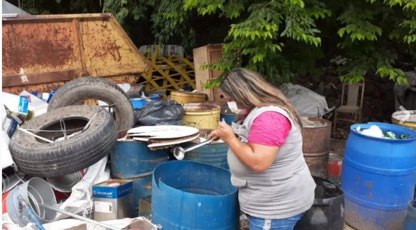 Aedes Aegypti: Descalvado registra primeiro caso de chikungunya importado