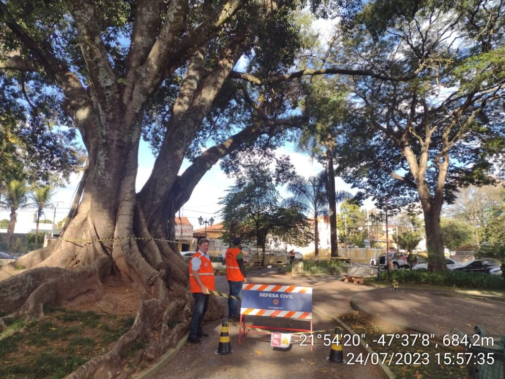 Defesa Civil interdita acesso a uma das figueiras no Jardim Velho