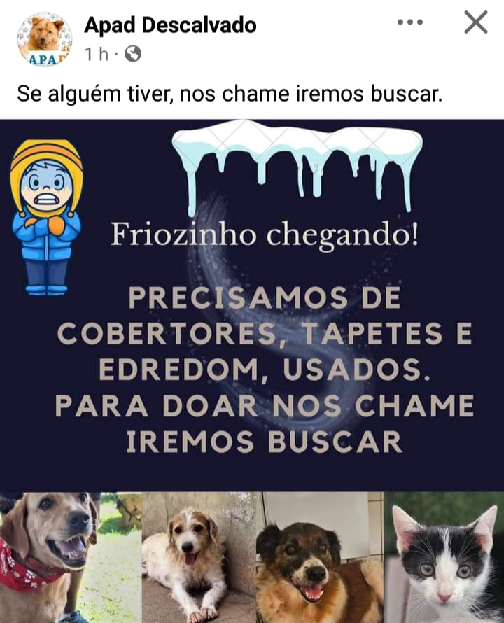APAD faz campanha de arrecadação de cobertores para os pets